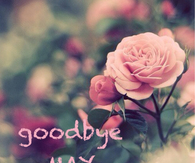 Goodbye May