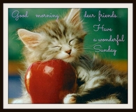 Have a wonderful Sunday