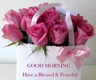 Good morning Have a Blessed Sunday