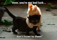 Aww youre not bad luck, dont listen to them