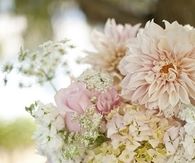 Beautiful floral bouquet