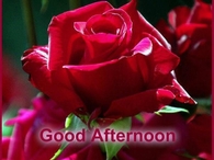 Good Afternoon