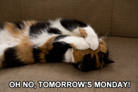 Tomorrow's Monday
