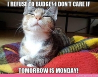 tomorrow is monday