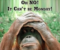 It can't be Monday
