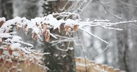 Snow fall