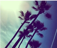 Blue Skies