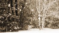 Falling snow