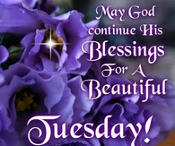Beautiful Tuesday