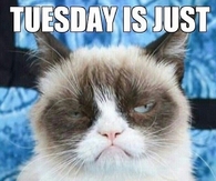 Tuesday