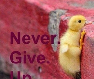 Never give up