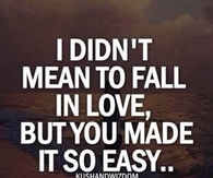 I didnt mean to fall in love but you made it so easy