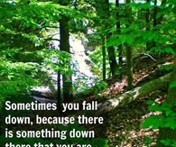 Sometimes you fall because