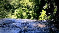 Flowing river