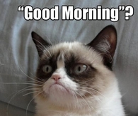 Good Morning