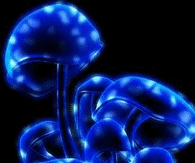 Psychedelic Mushroom GIF