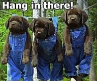 It's almost Friday