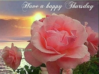 Happy Thursday