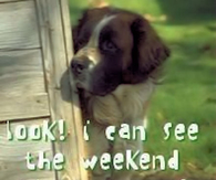 Happy Thursday