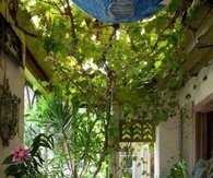 Indoor garden