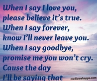 When I say I love you, please believe it's true...