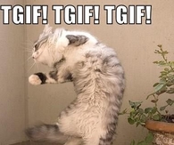 TGIF