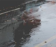 Rainfall
