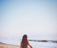 Free 