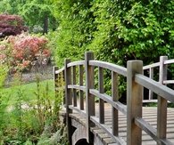 Little bridge
