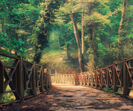 Hidden path