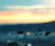A beautiful scene