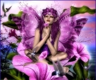 Beautiful Fairy