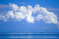 Blue Sailing