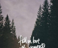 Fall in love with moments