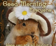 Beautiful Sunday