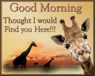 Good Morning