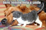 let me help you smile