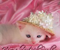 Have a beautiful Sunday