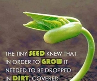 The seed knew