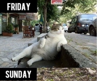 Crazy Weekend
