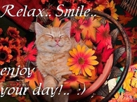 Enjoy Your Day