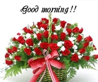 morning