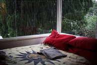Rainy Day