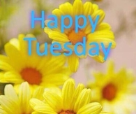 Happy Tuesday