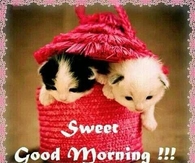Good Morning
