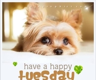 Happy tuesday