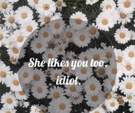 She likes you too idiot