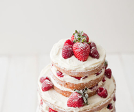 Strawberry dessert cake