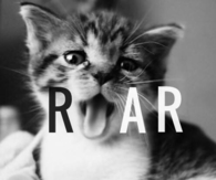 Roar