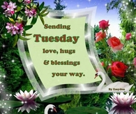 Tuesday Love